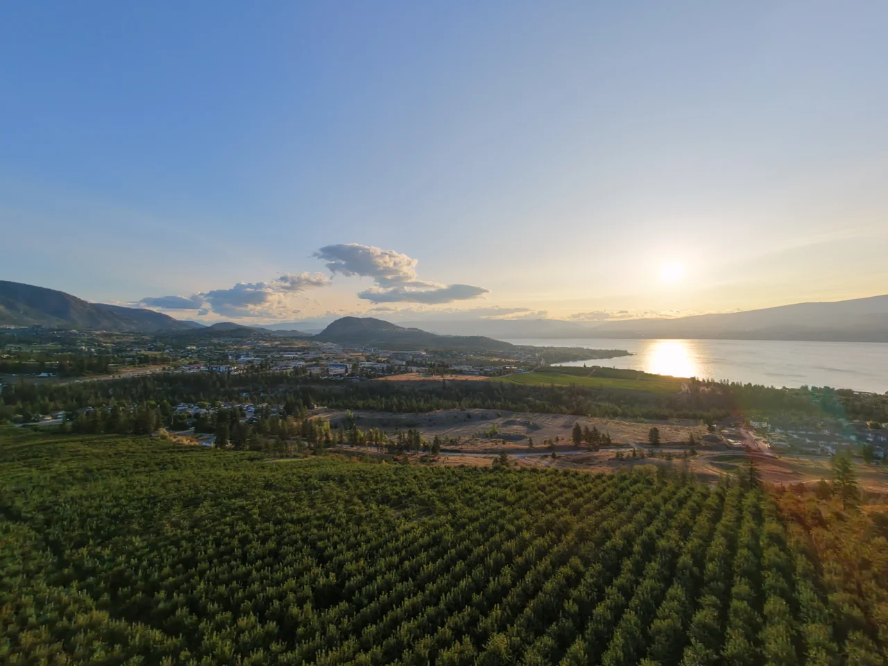 Orchards and neighbourhoods overlooking Okanagan Lake at sunrise.
